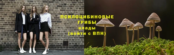 дживик Вяземский