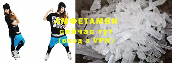 трава Сясьстрой