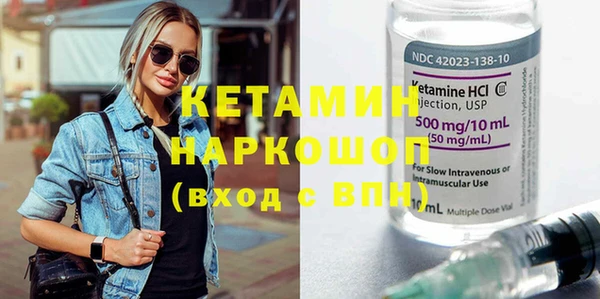 трава Сясьстрой
