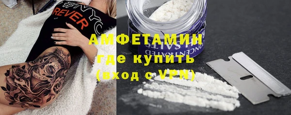 прущие грибы Тайга