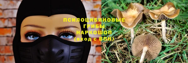 дживик Вяземский