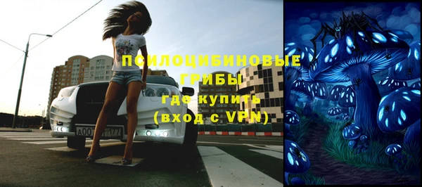 прущие грибы Тайга