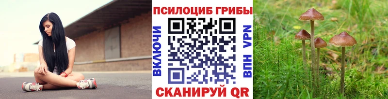 сайты даркнета состав  Плавск  Галлюциногенные грибы GOLDEN TEACHER  наркошоп 
